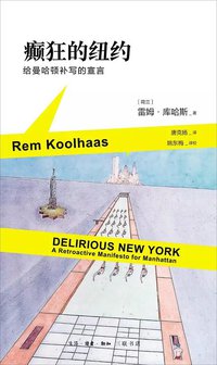 癫狂的纽约 (生活·读书·新知三联书店 2015)