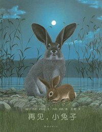 再见,小兔子 (南海出版社 2010)