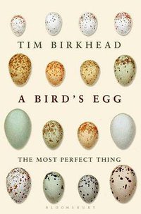 A Bird's Egg (Bloomsbury Publishing PLC 2016)