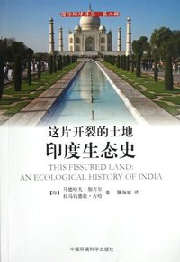 这片开裂的土地 (中国环境科学出版社 2012)