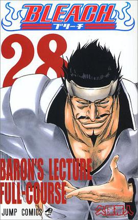 BLEACH―ブリーチ― 28