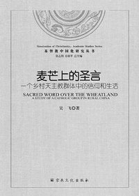 麦芒上的圣言 (宗教文化出版社 2013)