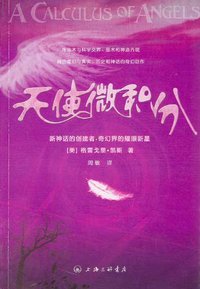 天使微积分 (上海三联书店 2007)