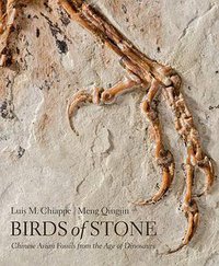 Birds of Stone (Johns Hopkins University Press 2016)