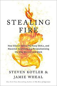 Stealing Fire (Dey Street Books 2017)