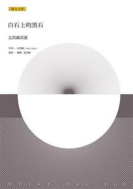 白石上的黑石