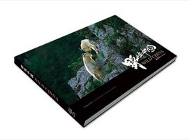 野性中国 (中国林业出版社 2008)