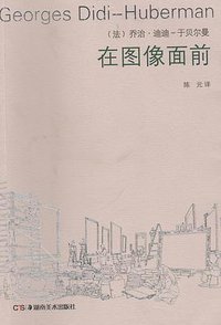 在图像面前 (湖南美术出版社 2016)