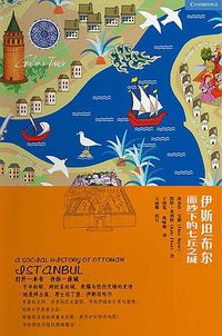 伊斯坦布尔：面纱下的七丘之城 (上海文艺出版社 2018)