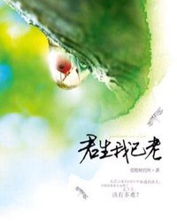 君生我已老 (国际文化出版公司 2010)