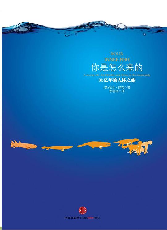 你是怎么来的