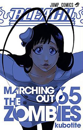 BLEACH―ブリーチ― 65