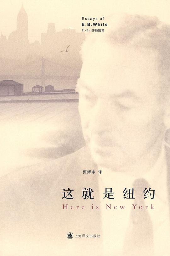 这就是纽约