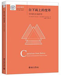 自下而上的变革 (北京大学出版社 2016)