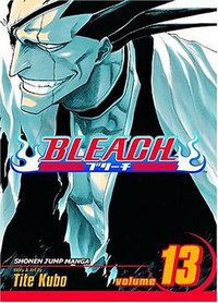 Bleach, Volume 13 (VIZ Media LLC 2006)