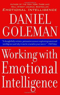 Working with Emotional Intelligence (Bantam 2000)