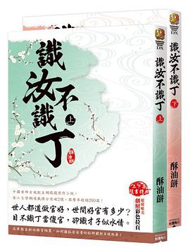 識汝不識丁(上下)