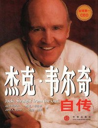 杰克·韦尔奇自传 (中信出版社 2002)