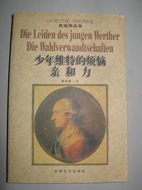 少年维特的烦恼 亲和力 (安徽文艺出版社 1998)