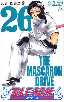 BLEACH―ブリーチ― 26