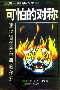 可怕的对称 (湖南科学技术出版社 1992)
