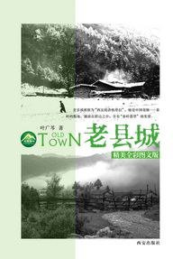 老县城 (西安出版社 2010)