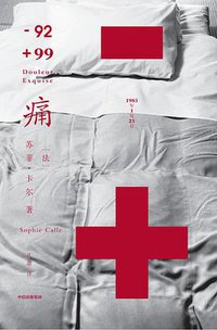 痛 (中信出版集团 2021)