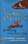 The Curious Incident of the Dog in the Night-time (Vintage 2004)