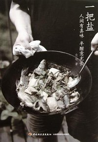 一把盐 (中国轻工业出版社 2014)