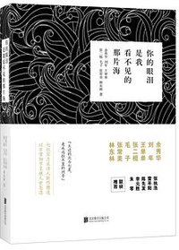 你的眼泪是我看不见的那片海