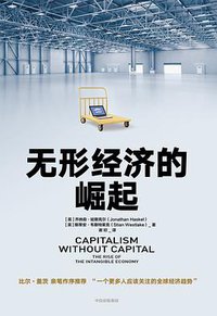 无形经济的崛起 (中信出版集团 2020)