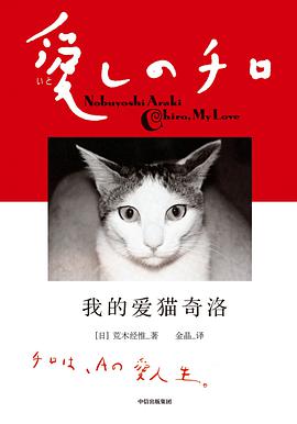 我的爱猫奇洛