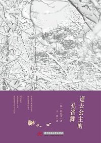 逝去公主的孔雀舞 (华中科技大学出版社 2014)
