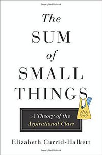 The Sum of Small Things (Princeton University Press 2017)