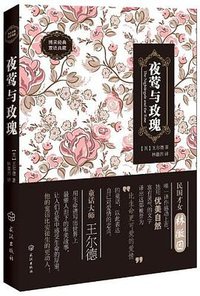 夜莺与玫瑰 (武汉出版社 2012)
