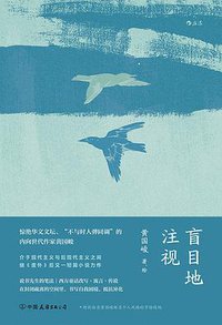 盲目地注视 (后浪丨中国友谊出版公司 2020)