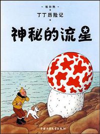 神秘的流星 (中国少年儿童出版社 2009)