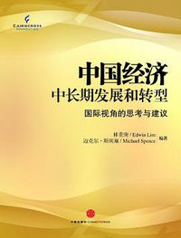 中国经济中长期发展和转型