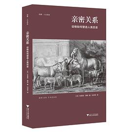 亲密关系