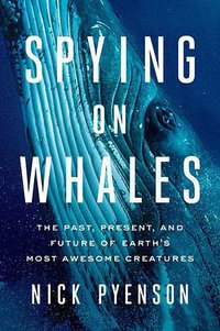 Spying on Whales 