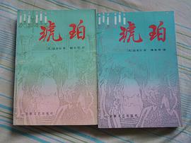 琥珀（上下册）