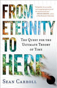 From Eternity to Here (Plume Books 2010)