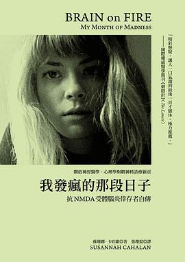 我發瘋的那段日子