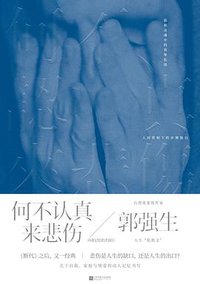 何不认真来悲伤