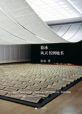 徐冰 从天书到地书