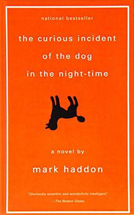 The Curious Incident of the Dog in the Night-time