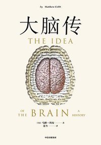大脑传 (2022)