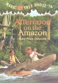 Afternoon on the Amazon