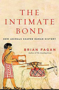 The Intimate Bond (Bloomsbury Press 2015)