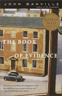 The Book of Evidence (Vintage 2001)